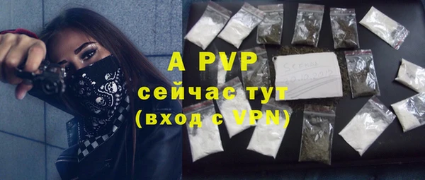 ECSTASY Вяземский