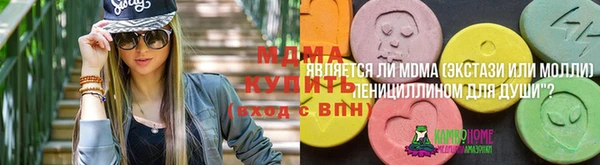 индика Горно-Алтайск