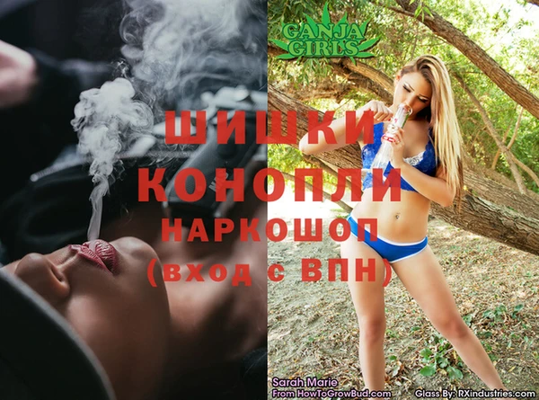 индика Горно-Алтайск