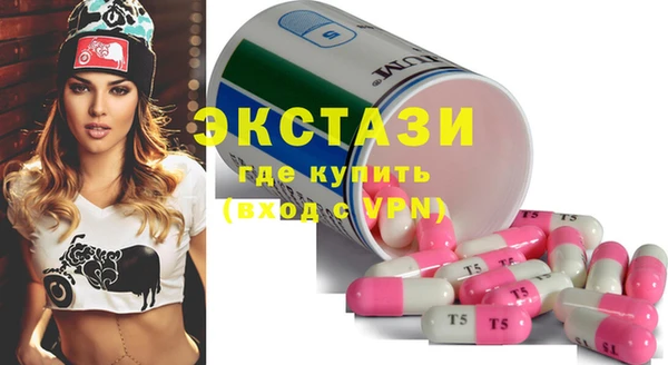 ECSTASY Вяземский