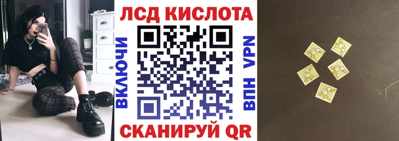 kraken рабочий сайт  купить   Шацк  Марки NBOMe 1,5мг 