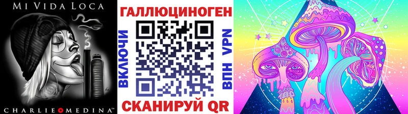 купить закладку  Шацк  Галлюциногенные грибы Psilocybe 